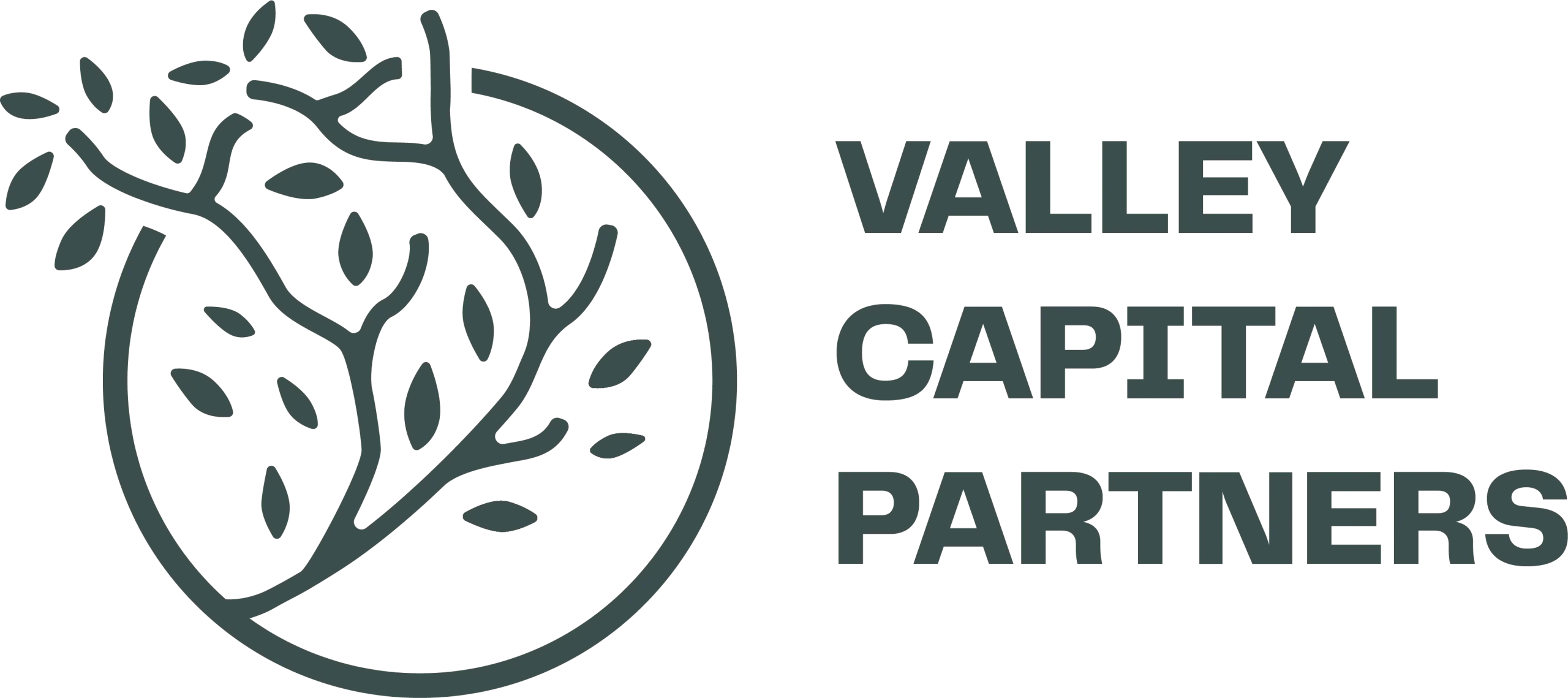 Valley Capital Partners